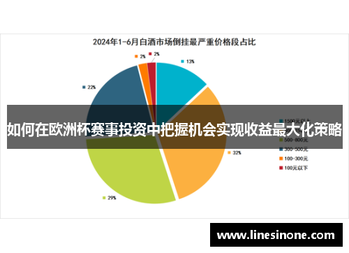 如何在欧洲杯赛事投资中把握机会实现收益最大化策略